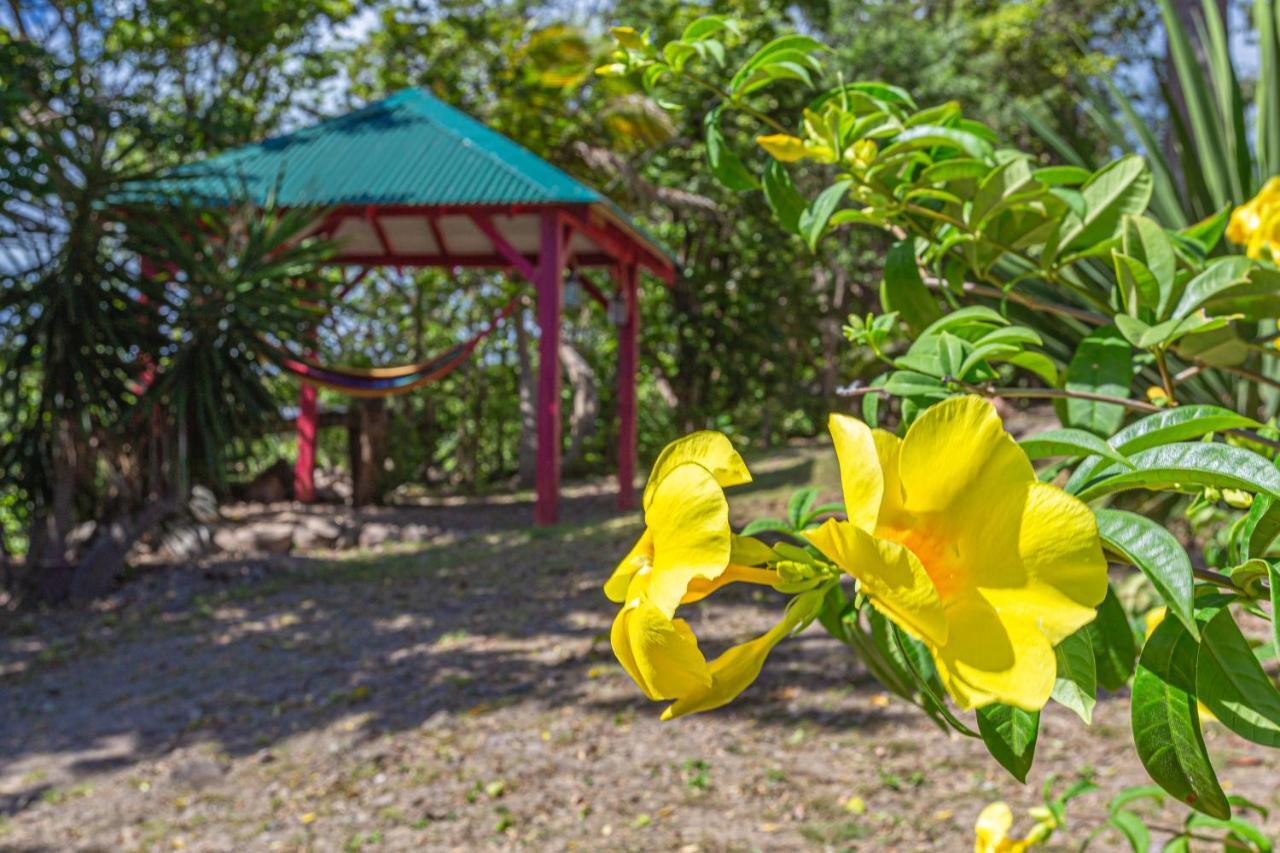 Villas Ti Creole Nogent Sainte-Rose Buitenkant foto